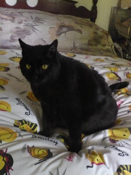 P1090438 - copia.JPG