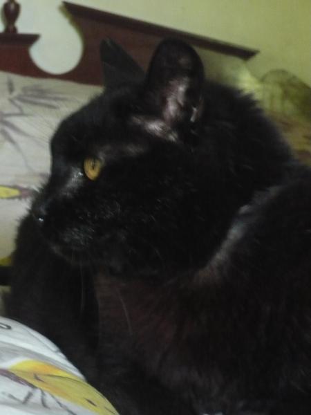 P1090441 - copia.JPG