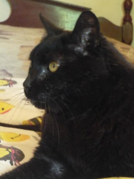 P1090448 - copia.JPG