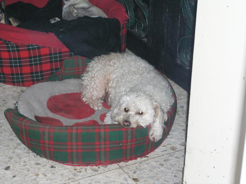 p1090376.jpg p1090376.jpg