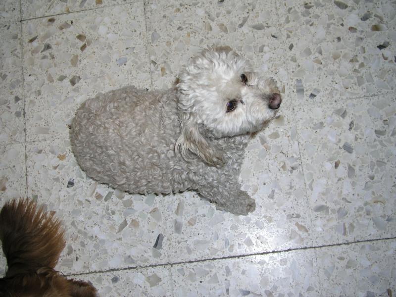 p1240664.jpg p1240664.jpg