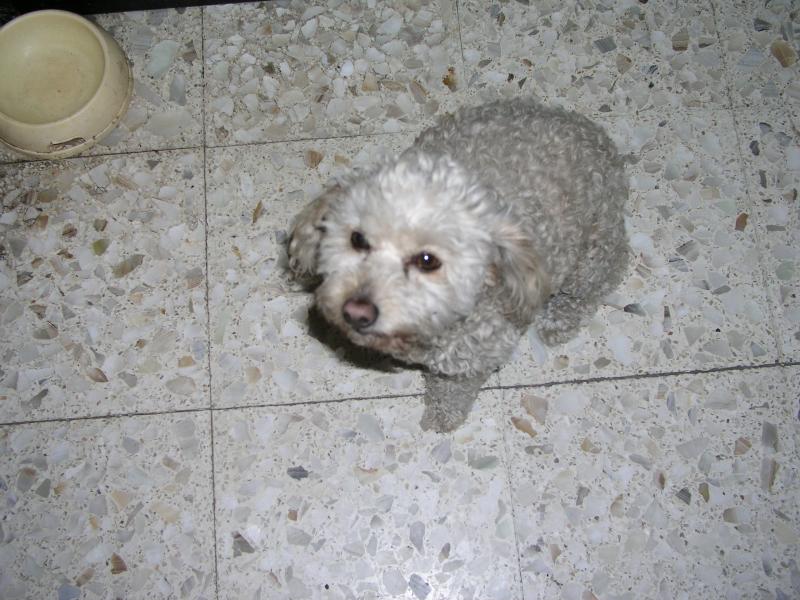 p1240665.jpg p1240665.jpg