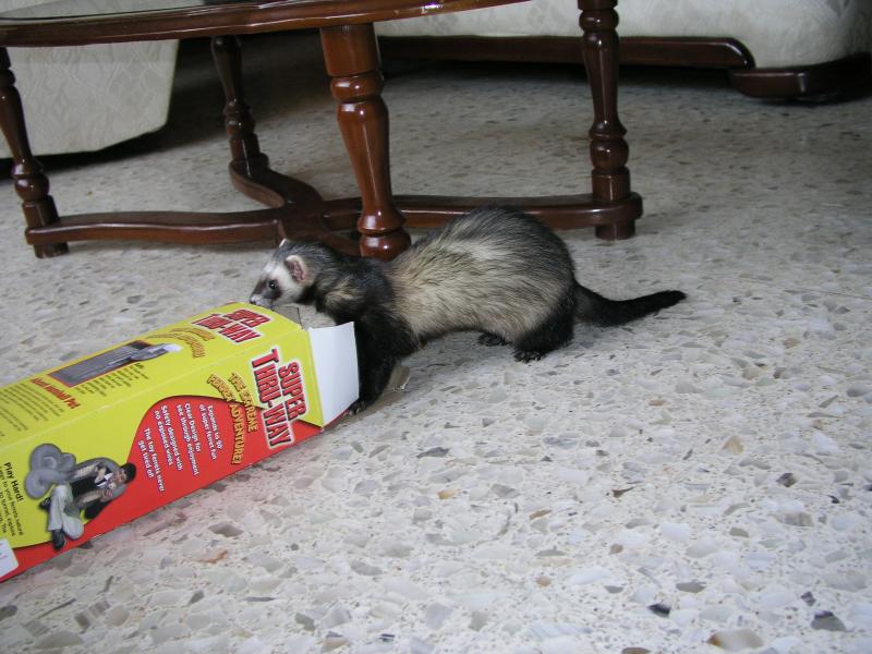 p1240669.jpg p1240669.jpg