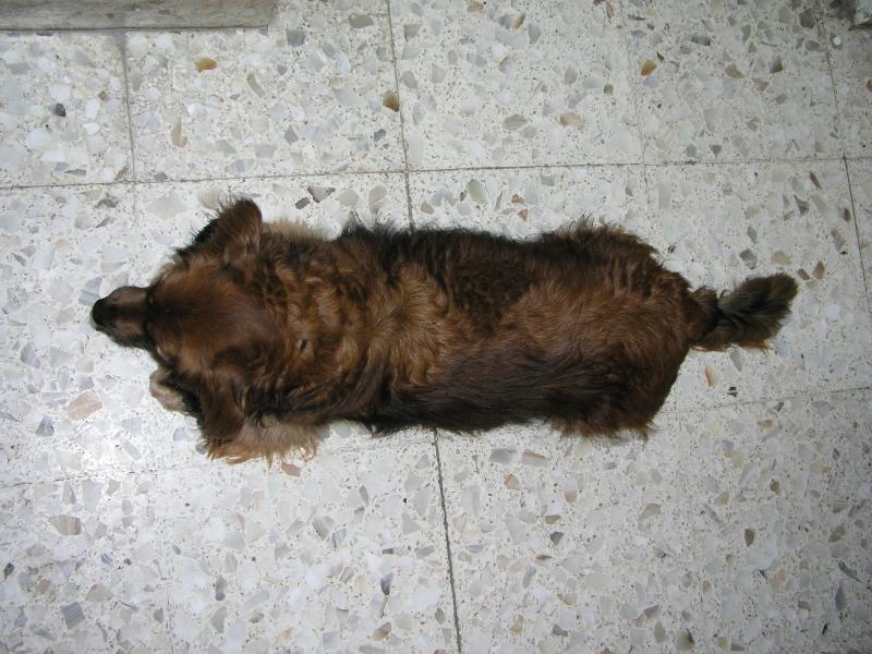 p1240670.jpg p1240670.jpg