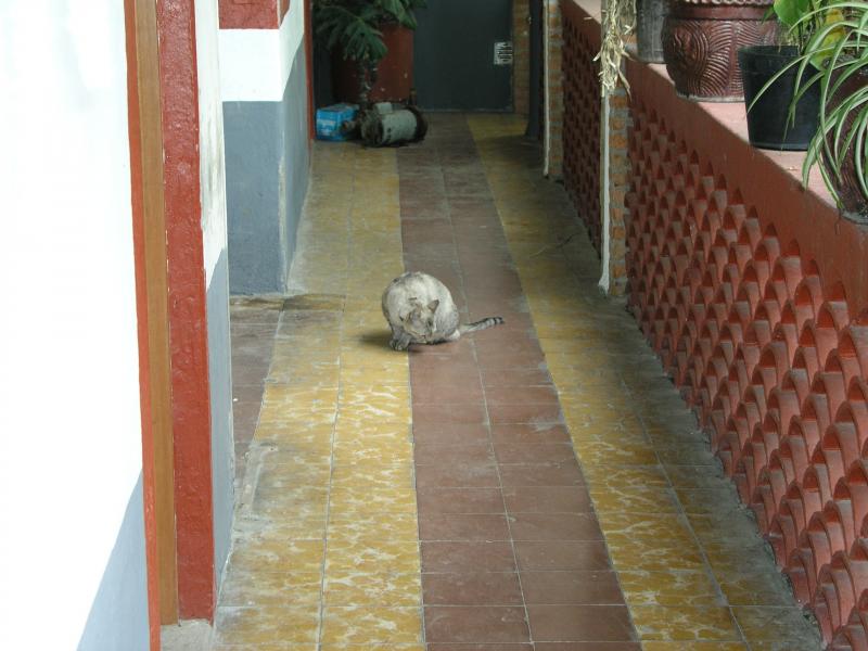 p1240675.jpg p1240675.jpg