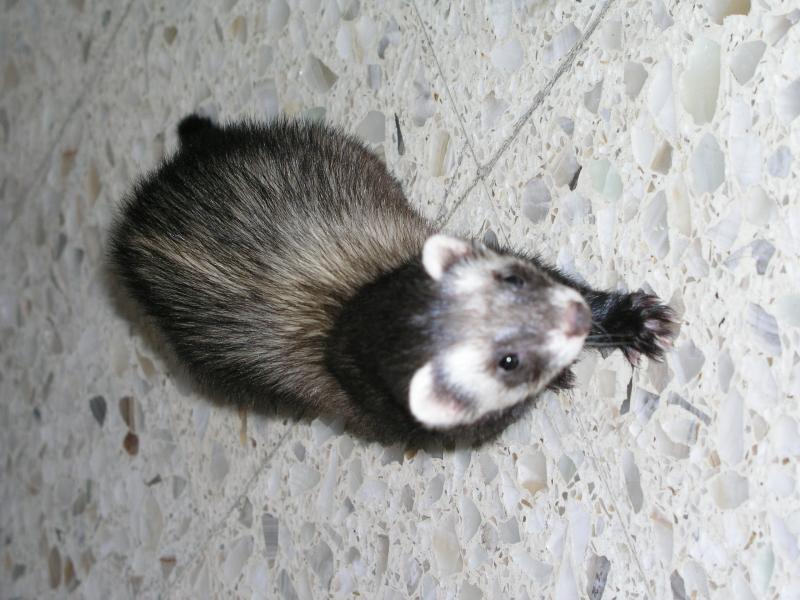 p1240676.jpg p1240676.jpg