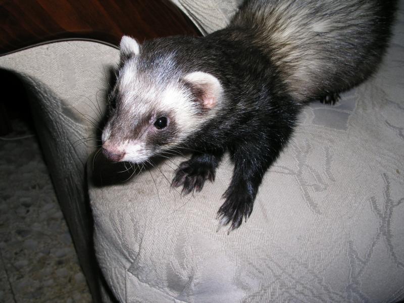 p1240677.jpg p1240677.jpg