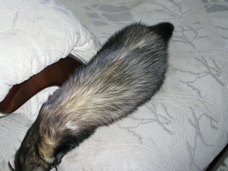 p1240680.jpg p1240680.jpg