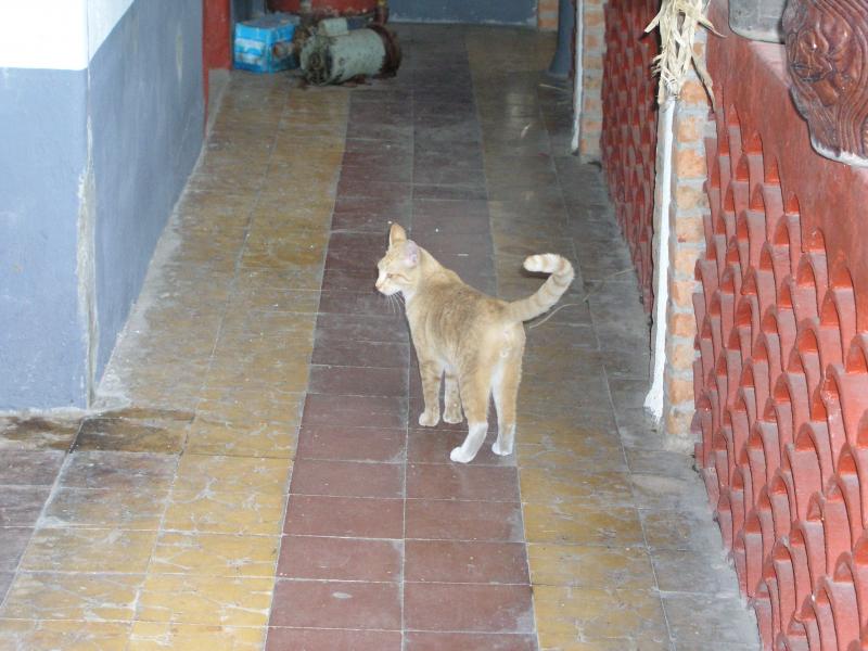 p1250687.jpg p1250687.jpg