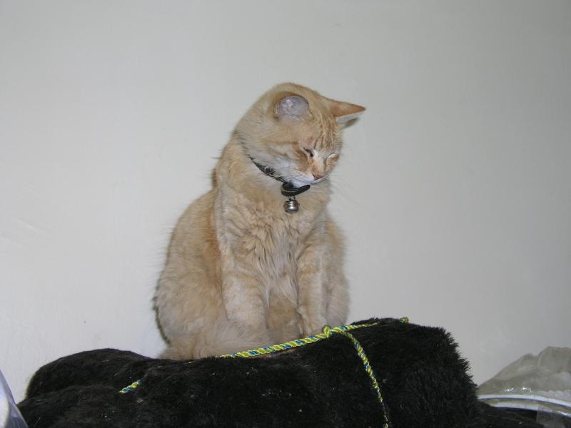 p1250688.jpg p1250688.jpg