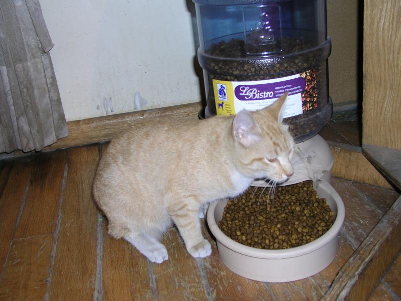 p1250692.jpg p1250692.jpg