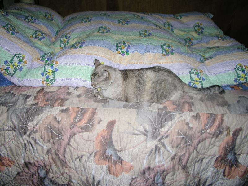 p1250696.jpg p1250696.jpg