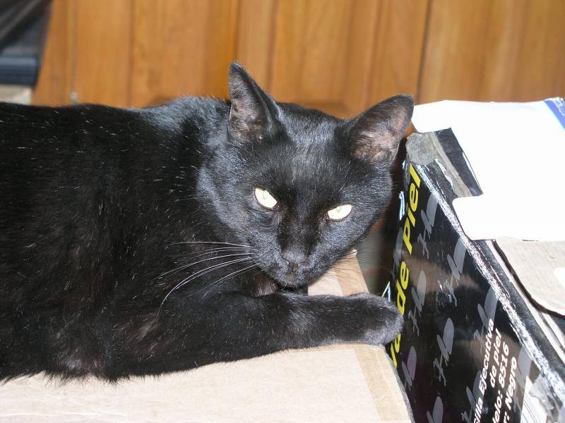 p2120711.jpg p2120711.jpg