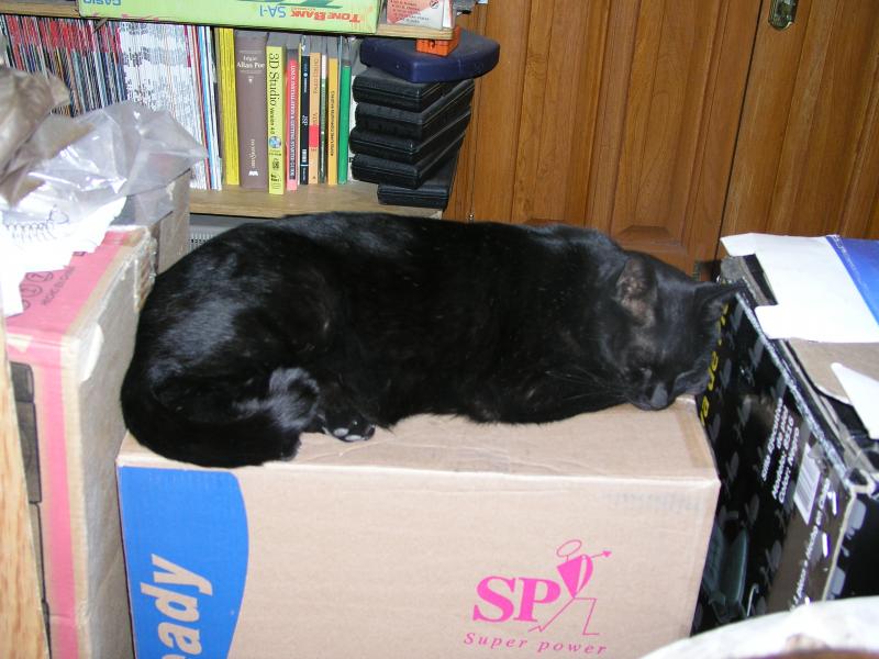 p2120712.jpg p2120712.jpg