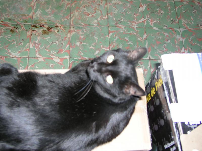 p2120713.jpg p2120713.jpg