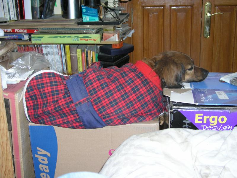 p2120715.jpg p2120715.jpg