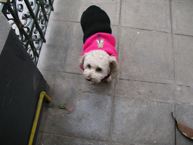 p2120719.jpg p2120719.jpg