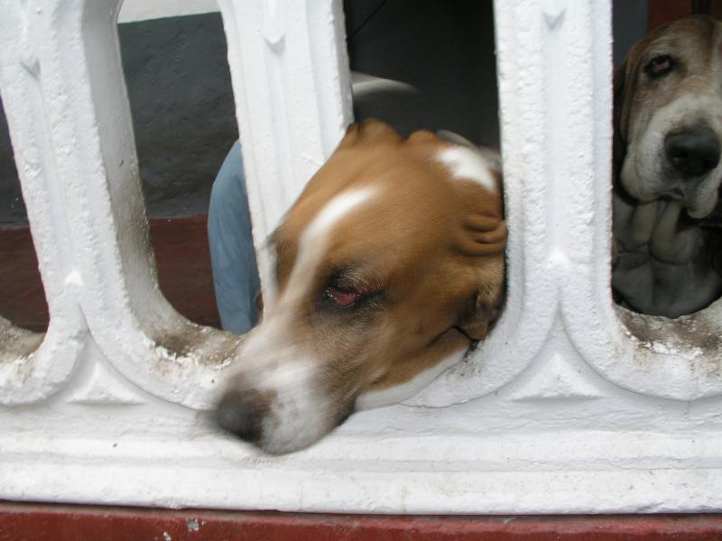 p2120720.jpg p2120720.jpg