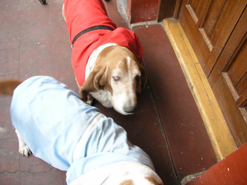 p2120724.jpg p2120724.jpg