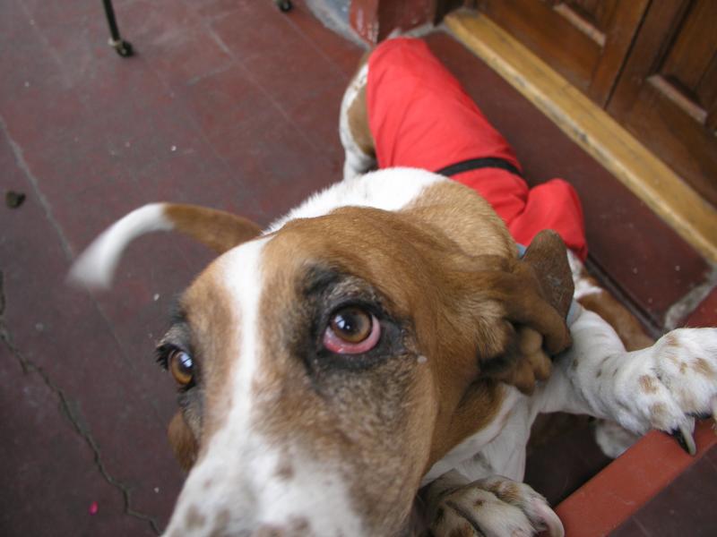 p2120725.jpg p2120725.jpg