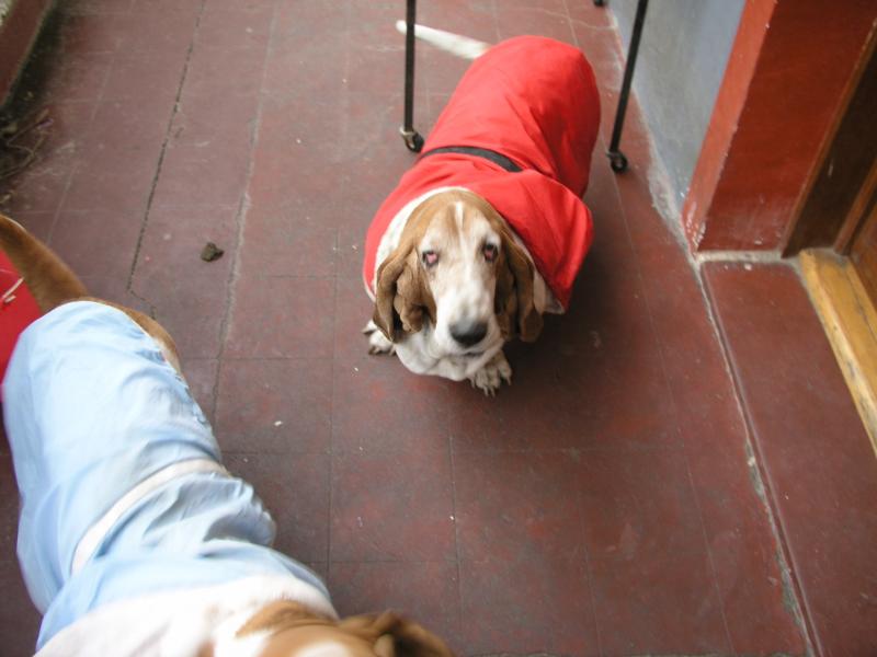 p2120726.jpg p2120726.jpg