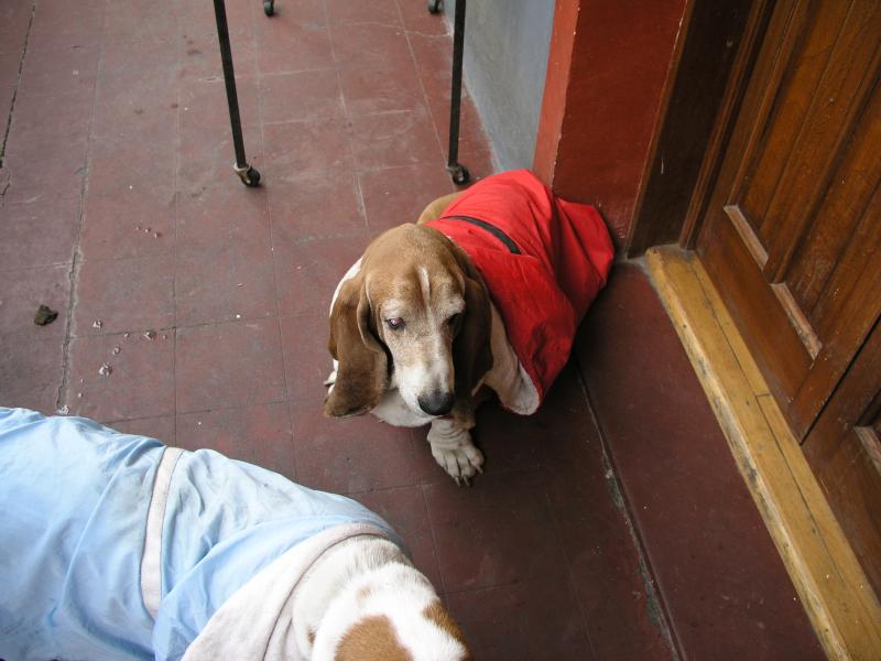 p2120738.jpg p2120738.jpg