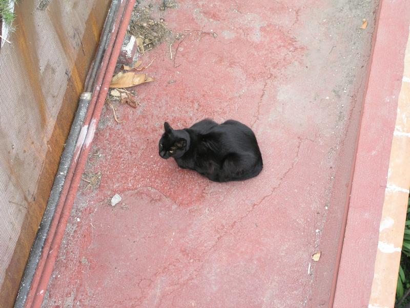 p2120751.jpg p2120751.jpg