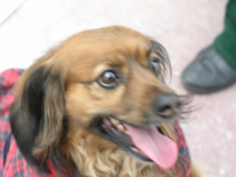 p2120755.jpg p2120755.jpg