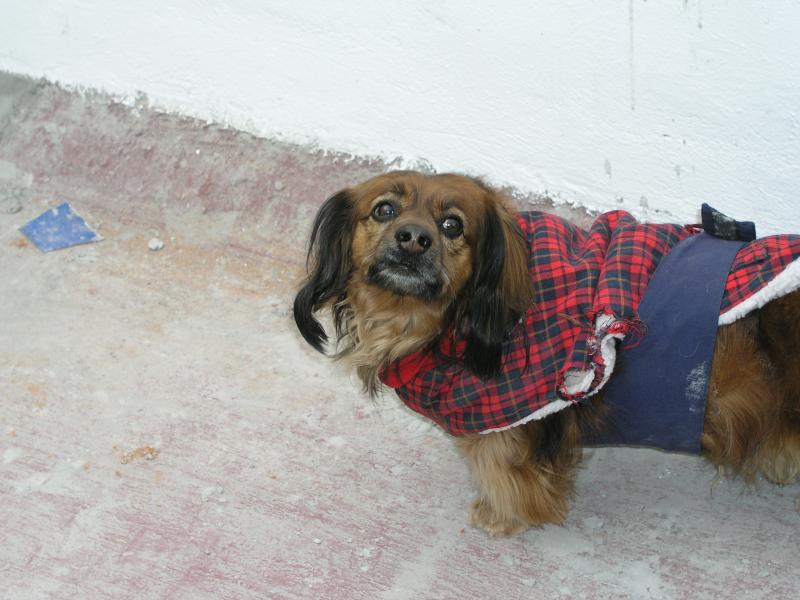 p2120758.jpg p2120758.jpg