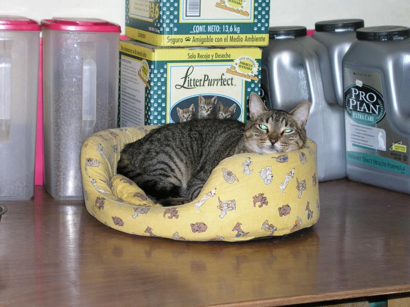 p1010001.jpg p1010001.jpg