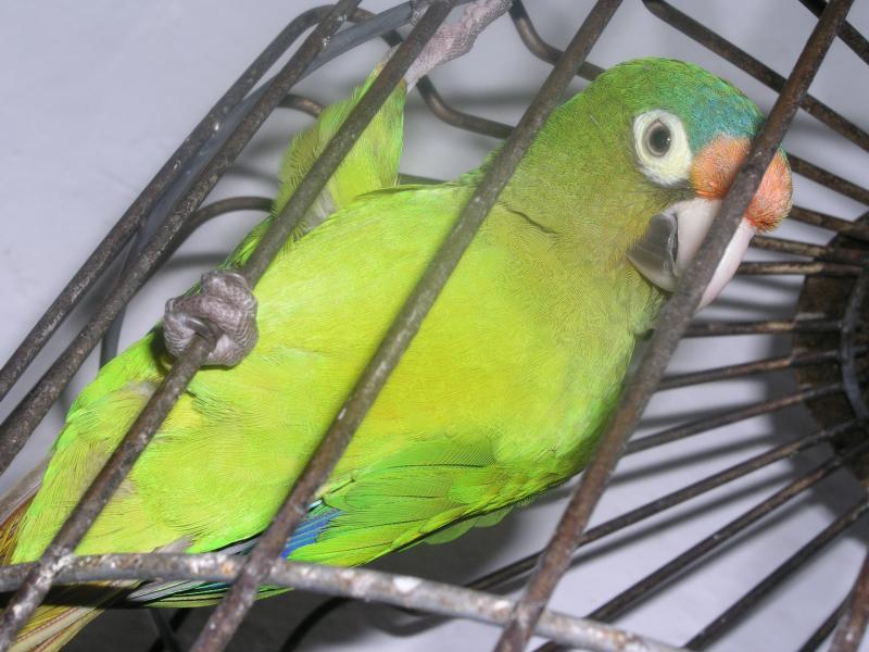 pa240174.jpg pa240174.jpg