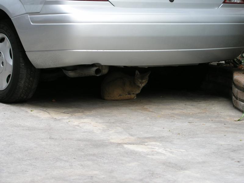 p4170253.jpg p4170253.jpg