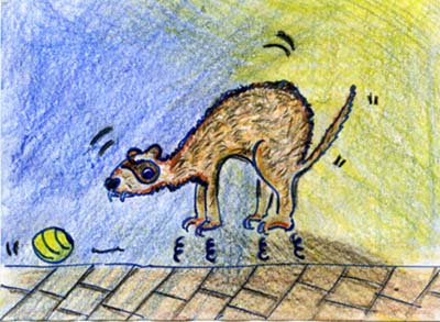 13 MAR LOPEZ luna tras la pelota de tenis.jpg 13 MAR LOPEZ luna tras la pelota de tenis.jpg