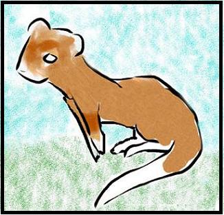 9 INUI en campo abierto.jpg 9 INUI en campo abierto.jpg