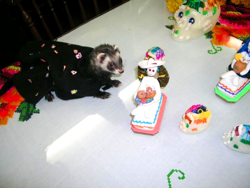 DiaDeMuertos.jpg