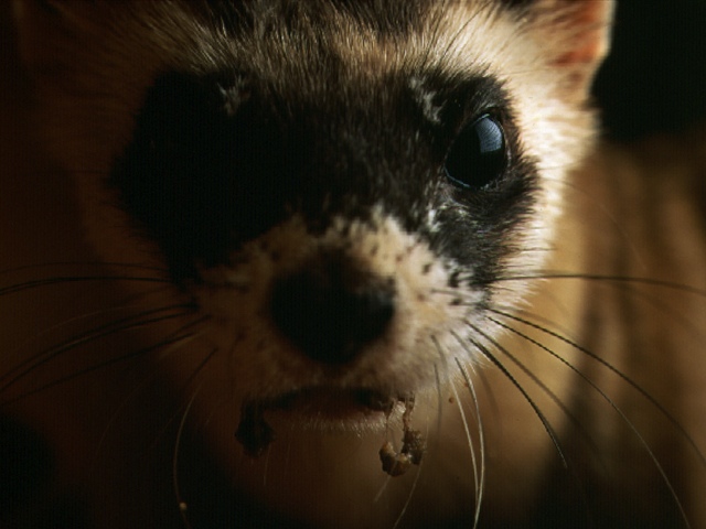 59205015 carita.jpeg 59205015 carita.jpeg