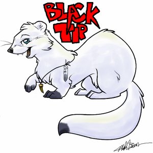 Blacktip_Ermine_by_Ozzy_Marten.jpg Blacktip_Ermine_by_Ozzy_Marten.jpg