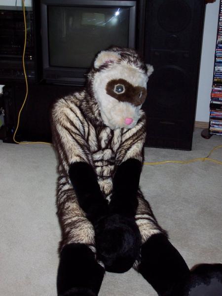 Frenzy.jpg Frenzy.jpg