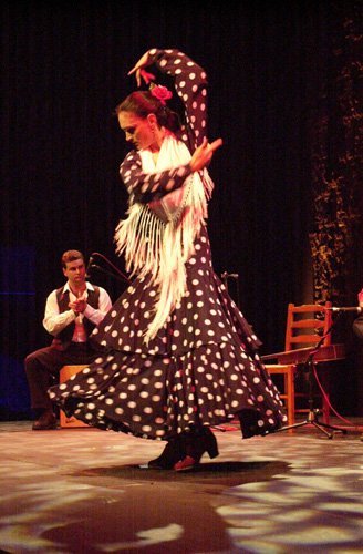 Jaleos_Flamenco.jpeg