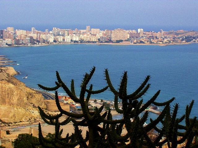 alicante0.jpeg