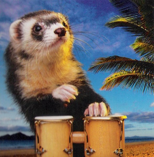 Huron01.jpg Huron01.jpg