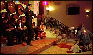 flamenco3.jpeg flamenco3.jpeg