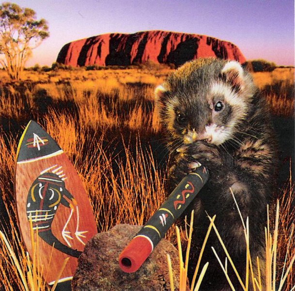 Huron08.jpg Huron08.jpg