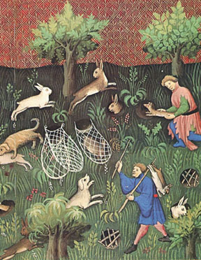 frthist01pintura hurones.jpg