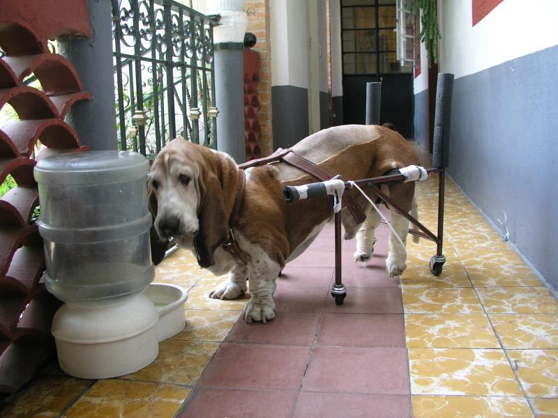 Tobito con su sillita4.jpg Tobito con su sillita4.jpg