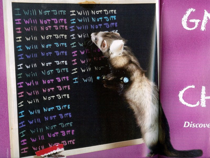 hur_n escribiendo.jpg hur_n escribiendo.jpg