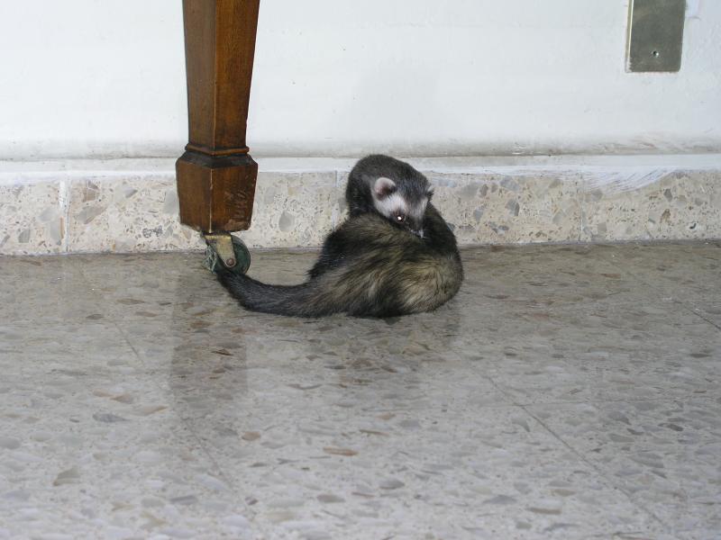 p4070208.jpg p4070208.jpg