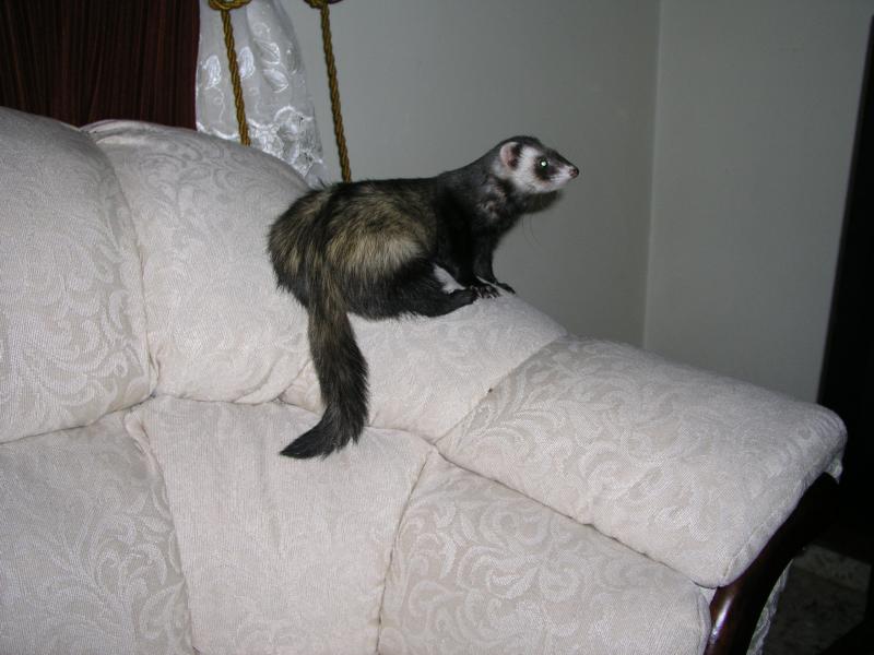 p4070213.jpg p4070213.jpg