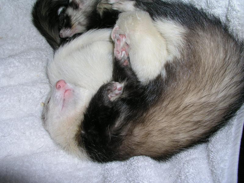 p4130240.jpg p4130240.jpg