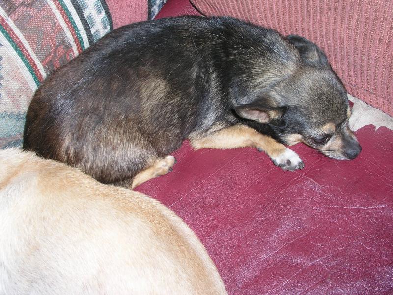 Meli 1.jpg Meli 1.jpg